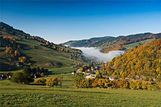 德國移民后的福利不止是父母津貼，還有經濟援助