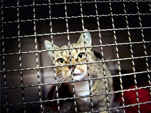 <a style='color:#268bd1;cursor:pointer;' href='/munihei.html'>德國慕尼黑</a>城市生活兩三事(三) 德國慕尼黑城市生活兩三事(三)