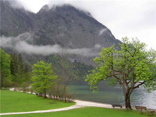 德國讀研究生必須哪些標準 德國讀研究生必須哪些標準