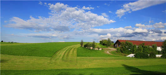 技術(shù)領(lǐng)先戰(zhàn)略突出 技術(shù)領(lǐng)先戰(zhàn)略突出