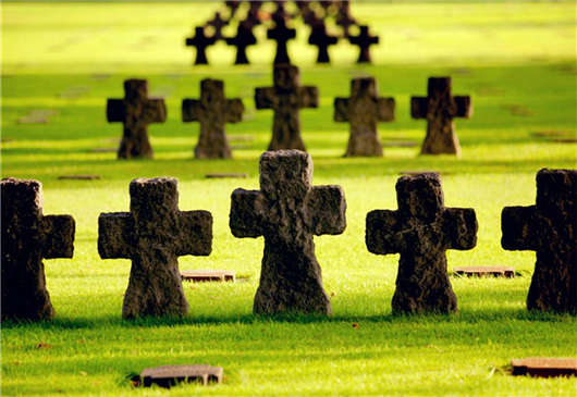 德國(guó)醫(yī)療保健系統(tǒng) 德國(guó)醫(yī)療保健系統(tǒng)