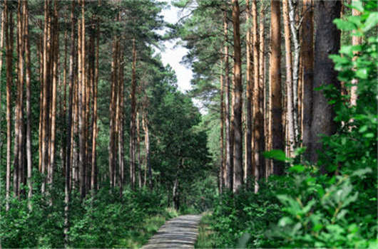 獲取德國求職者簽證要求介紹