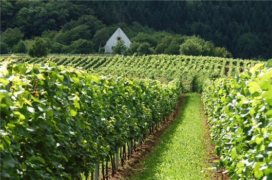 德國企業稅收您有必要了解一下！