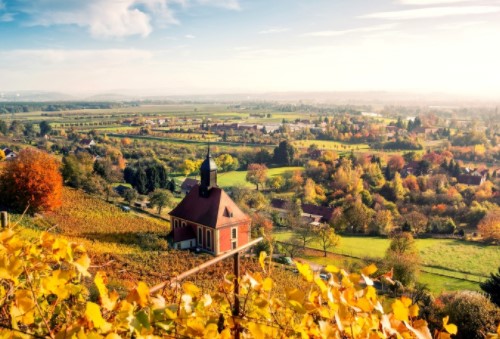 移民有哪些優勢？如何移民？