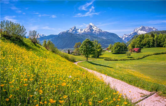 申請德國移民常見問題解讀，解決您的移民疑惑！