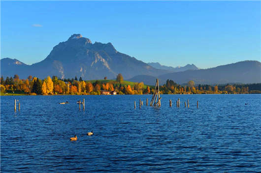 2020年3月1日，新德國移民政策開始實施