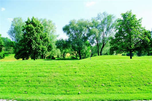 德國移民入籍指南,條件及相關文件介紹! 德國移民入籍指南,條件及相關文件介紹!