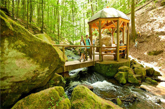 德國移民優(yōu)勢有哪些？各個項目對比介紹