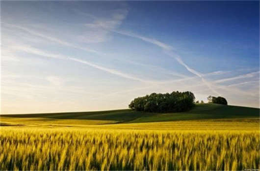 德國留學費用要多少？之后德國護照如何辦理？