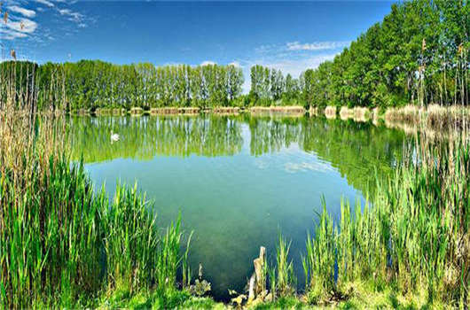 辦理德國移民，移民德國哪個城市最好？